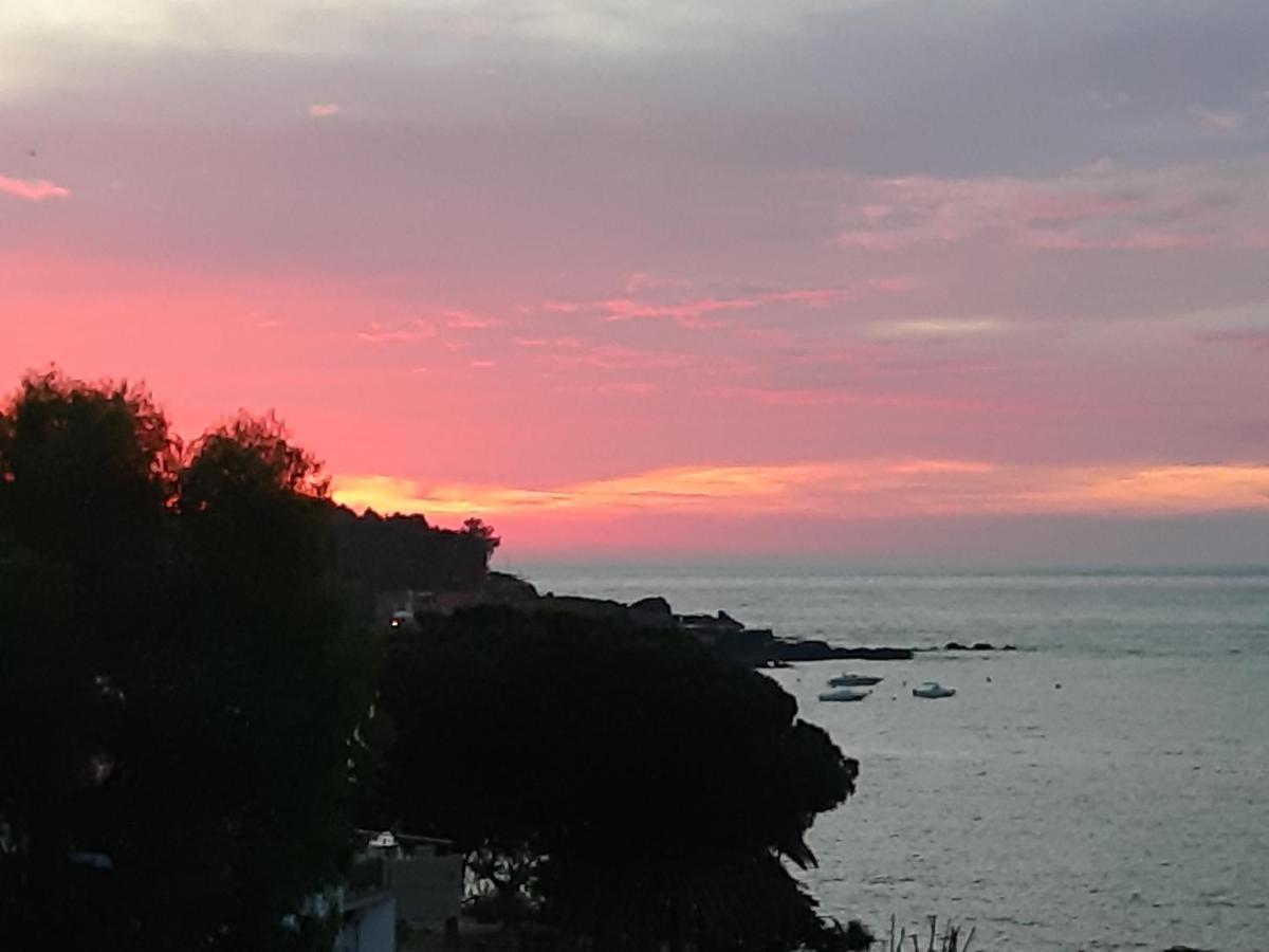 B&B Sea Terrace 아치카스텔로 외부 사진